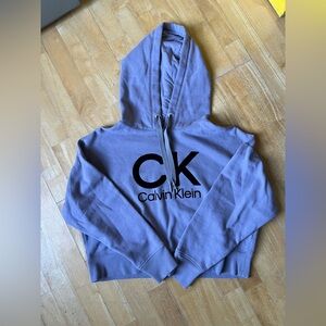 Calvin Klein Lavender and slate gray Hoodie with Black Logo